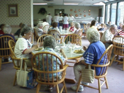 Join us for lunch